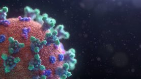 fusion-medical-animation-EAgGqOiDDMg-unsplash fusion-medical-animation-EAgGqOiDDMg-unsplash