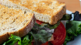 digital-sandwich-Header digital-sandwich-Header