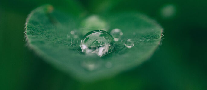 aaron-burden-dXYE1d08BiY-unsplash-crop aaron-burden-dXYE1d08BiY-unsplash-crop
